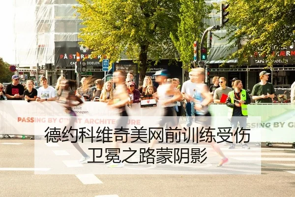 de-yue-ke-wei-qi-mei-wang-qian-xun-lian-shou-shang-wei-mian-zhi-lu-meng-yin-ying-2-523.jpg